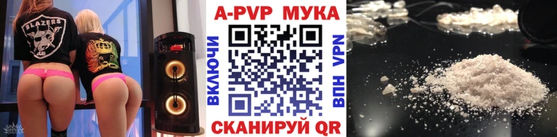 A-PVP СК  Махачкала 