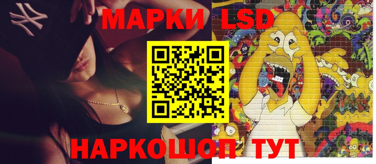 A PVP Махачкала